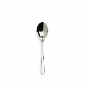 Serving | Pride Large Serving Spoon